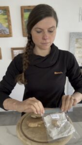 Ingwer anbauen: Ingwerstücke werden zum Vorkeimen in einen Zipper-Beutel mit feuchtem Küchentuch gelegt.
