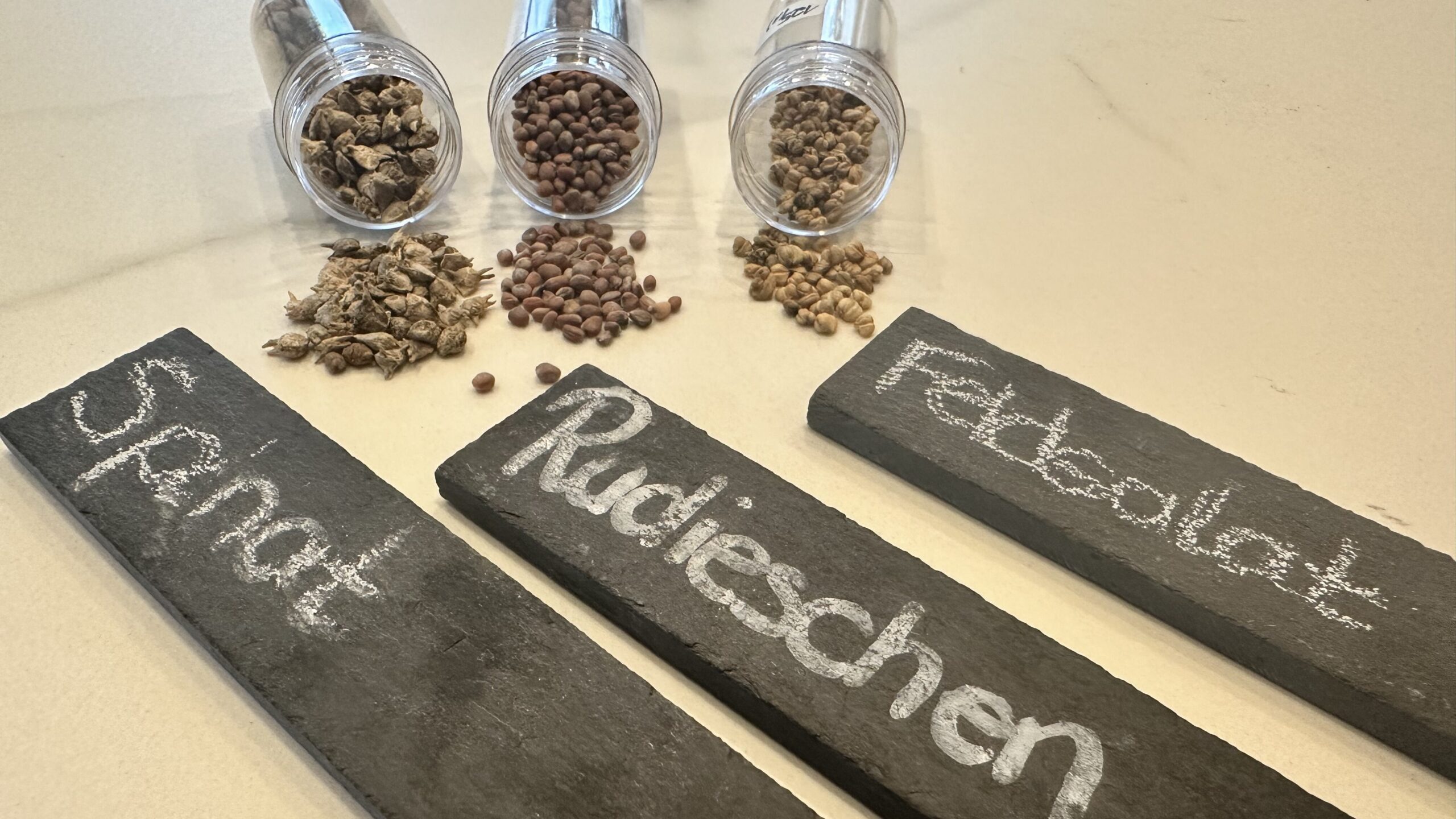 Samen und Beschriftungen für Frost-Profis wie Spinat, Radieschen und Feldsalat zur Vorkultur.