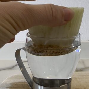 Ein frischer Sellerie-Strunk steht in einem Glas Wasser auf einem Holzbrett für das Regrowing.