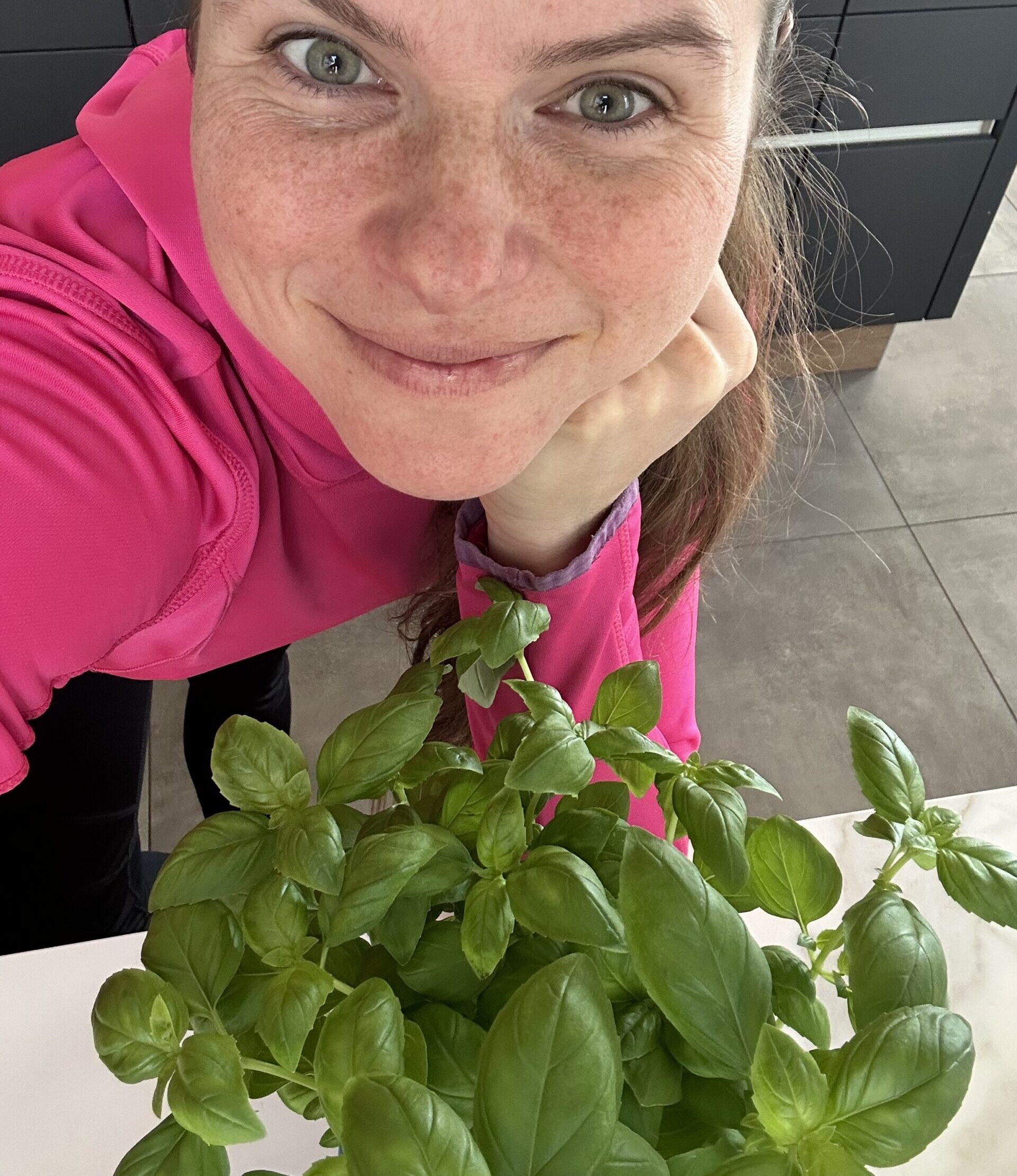 Basilikum aussäen: So gelingt das Dream-Team mit Tomaten!